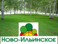 Коттеджный поселок Ново-Ильинское