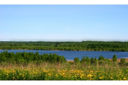 Дачный поселок Савельево находится на берегу озера Савельево в 104 километрах от МКАД по Ярославскому шоссе.