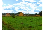 «Пряники» - тихий и уютный дачный поселок эконом-класса в 93 км от МКАД.