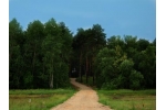 Коттеджный посёлок «Сказочный лес» находится в 67 километрах от МКАД по Симферопольскому шоссе в сосновом бору на берегу реки Нара. Дома, коттеджи, участки без подряда.